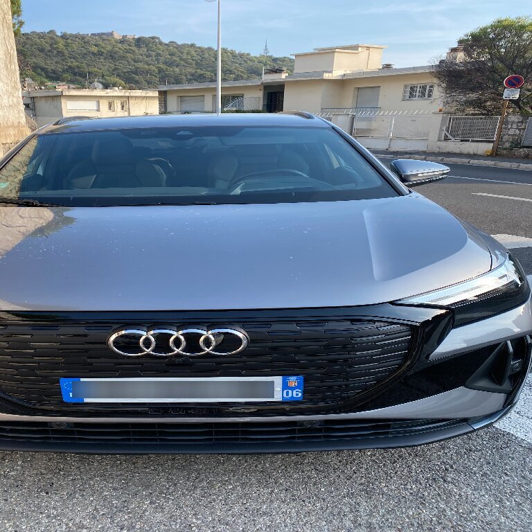 Personenvervoer Nice: Audi