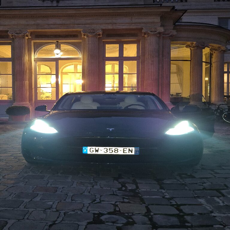 VTC Nogent-sur-Marne: Tesla