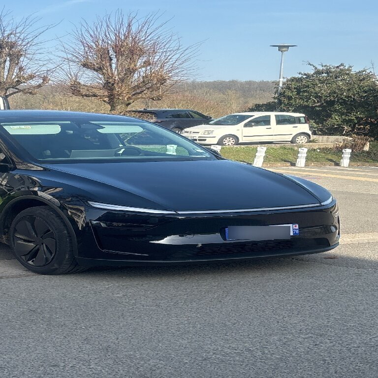Mietwagen mit Fahrer Rambouillet: Tesla