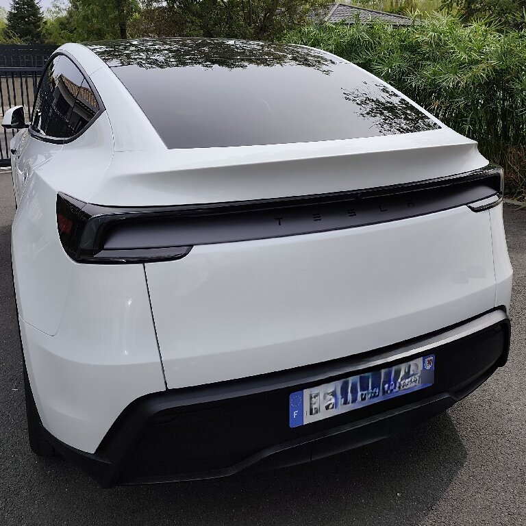 Personenvervoer Bouliac: Tesla