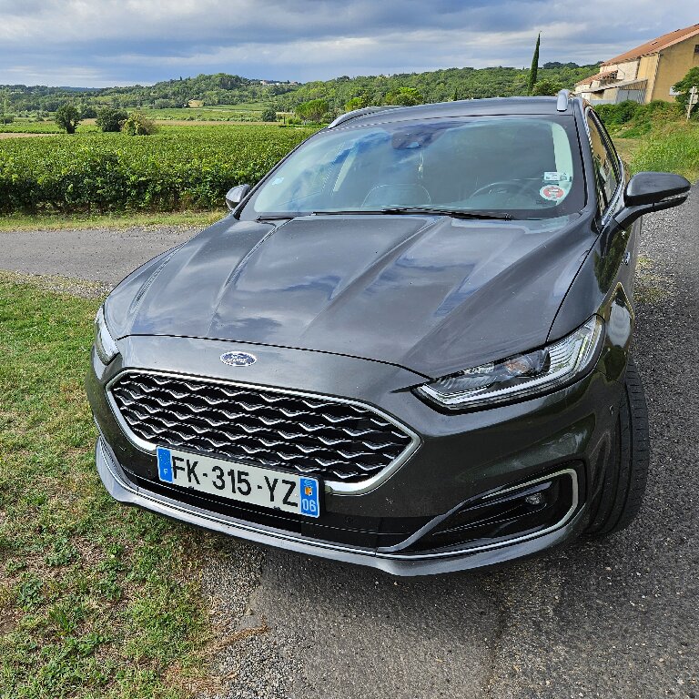 VTC Saint-Martin-de-Valgalgues: Ford