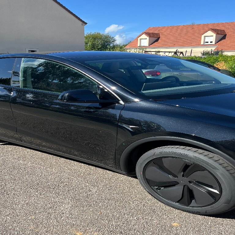 Mietwagen mit Fahrer Le Perreux-sur-Marne: Tesla