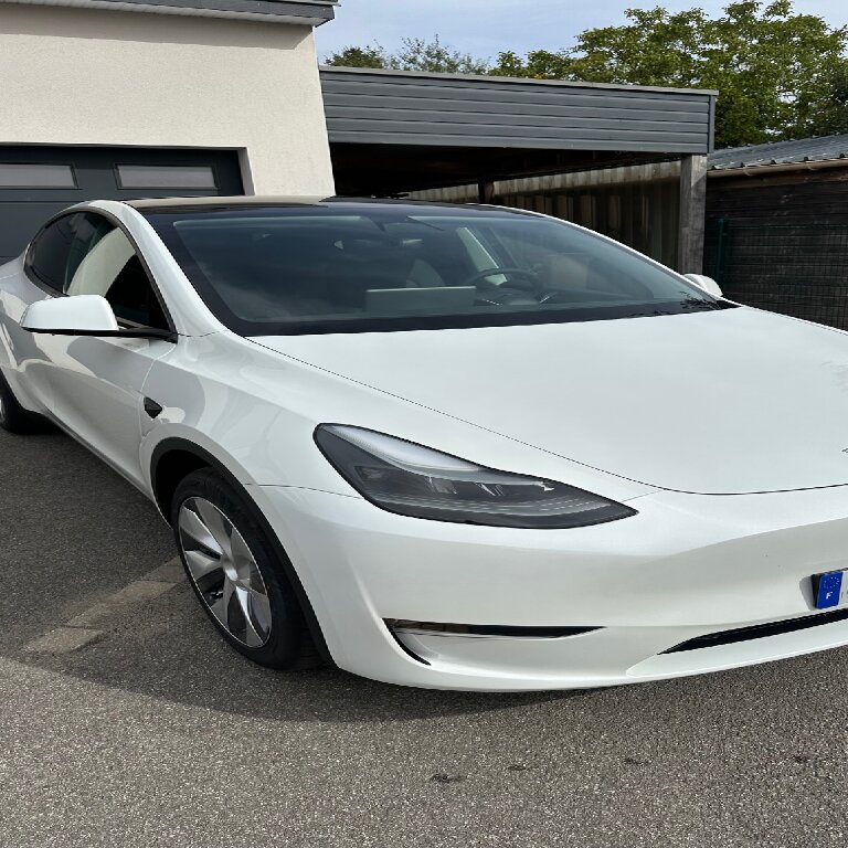 Personenvervoer Louvigné-de-Bais: Tesla