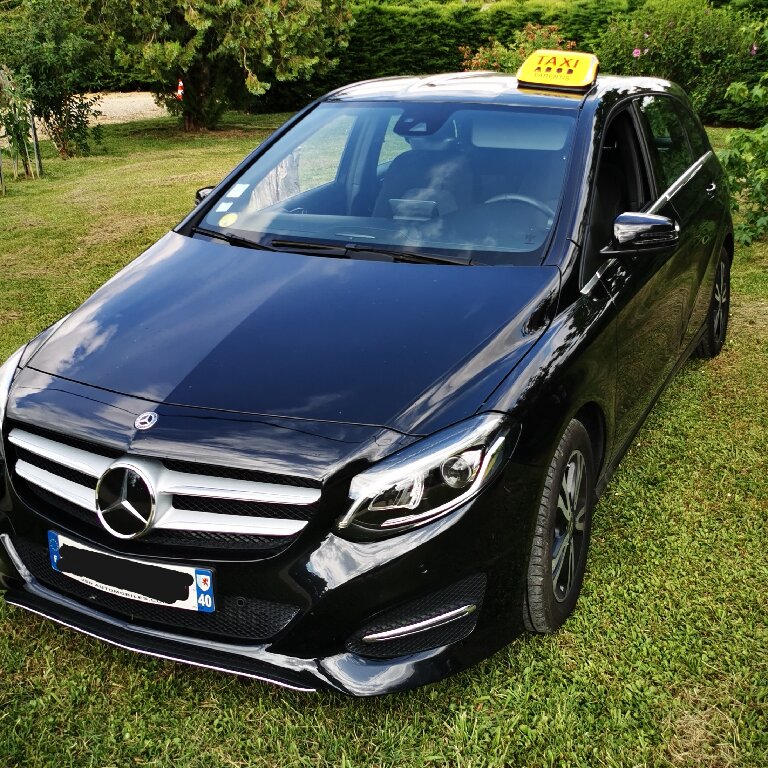 Taxi Parentis-en-Born: Mercedes