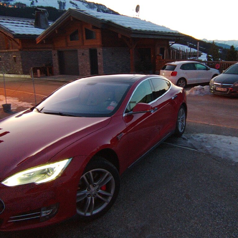 VTC Saint-Fons: Tesla