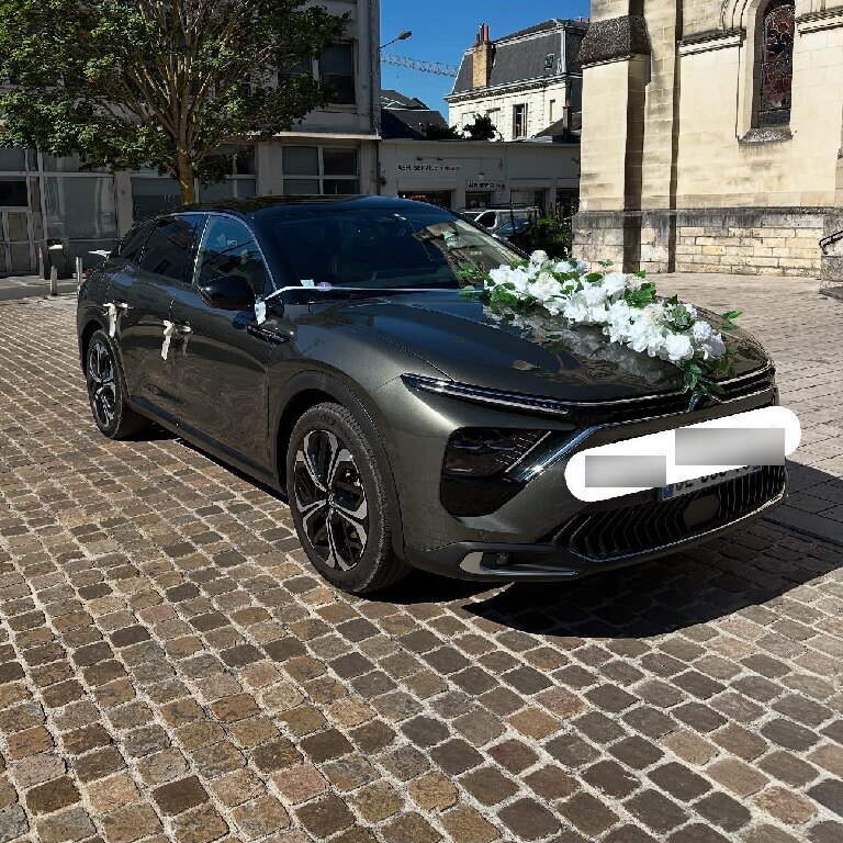 Mietwagen mit Fahrer Fondettes: Citroën