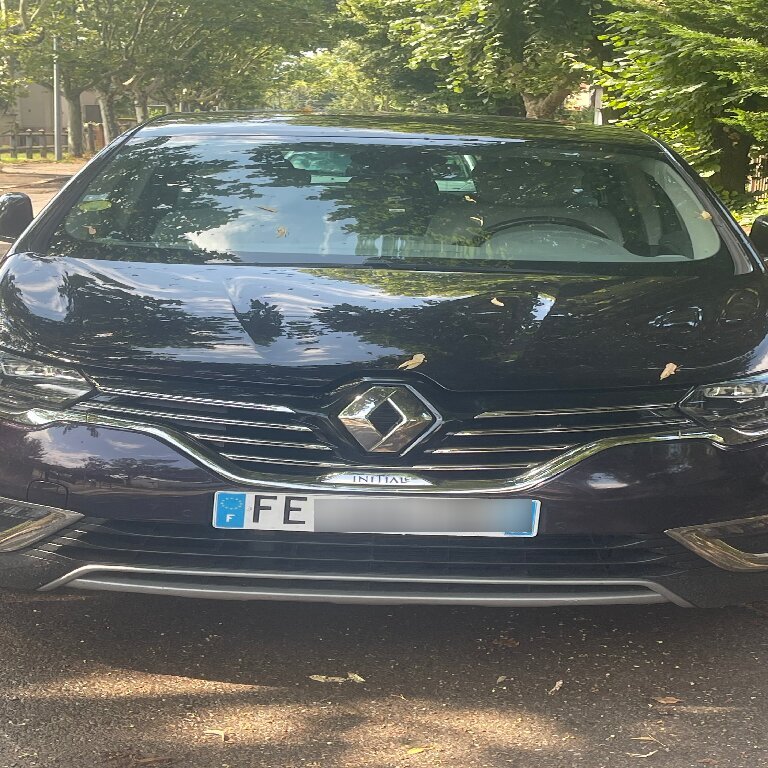 Mietwagen mit Fahrer Saint-Priest: Renault