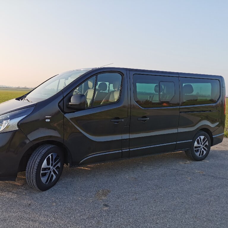 Mietwagen mit Fahrer Steene: Renault