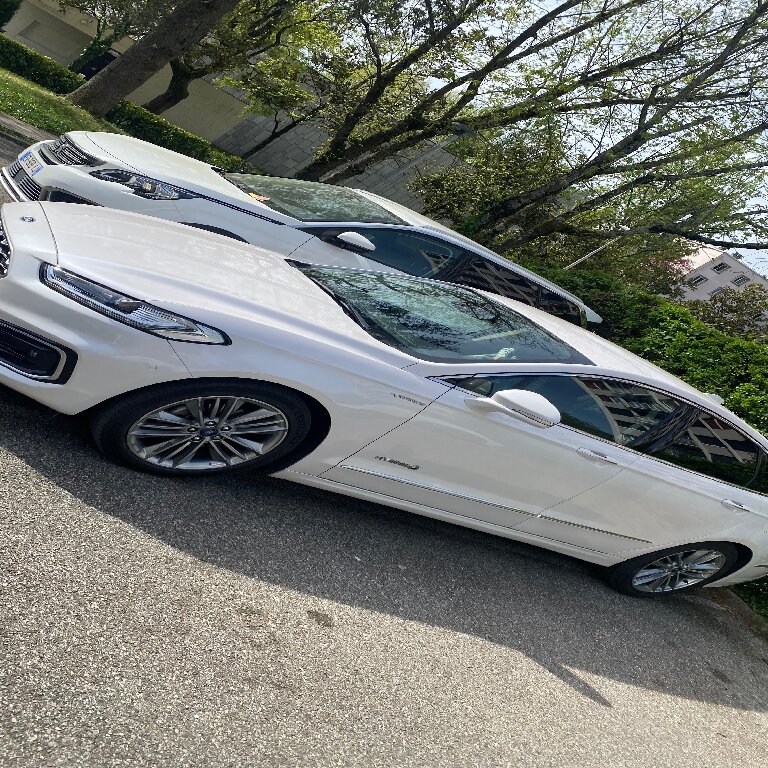 Personenvervoer Sassenage: Ford