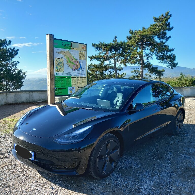 Mietwagen mit Fahrer Vienne: Tesla