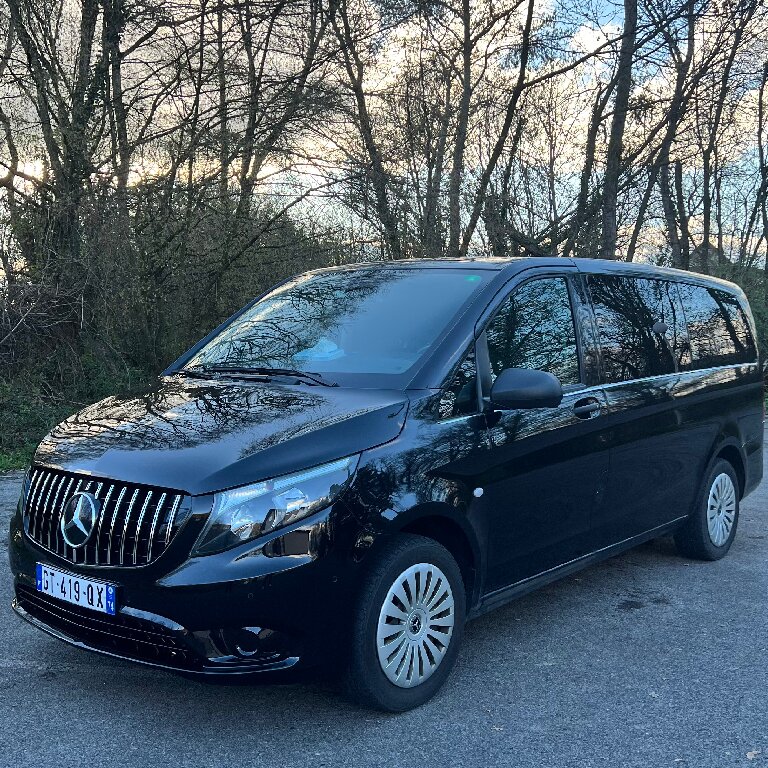 Mietwagen mit Fahrer Givors: Mercedes