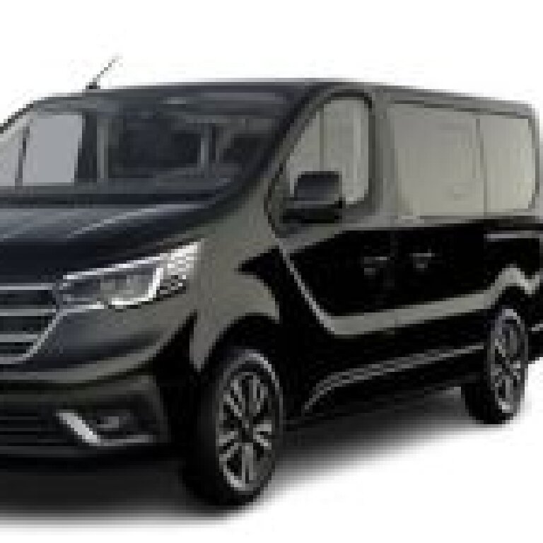Mietwagen mit Fahrer Échirolles: Renault