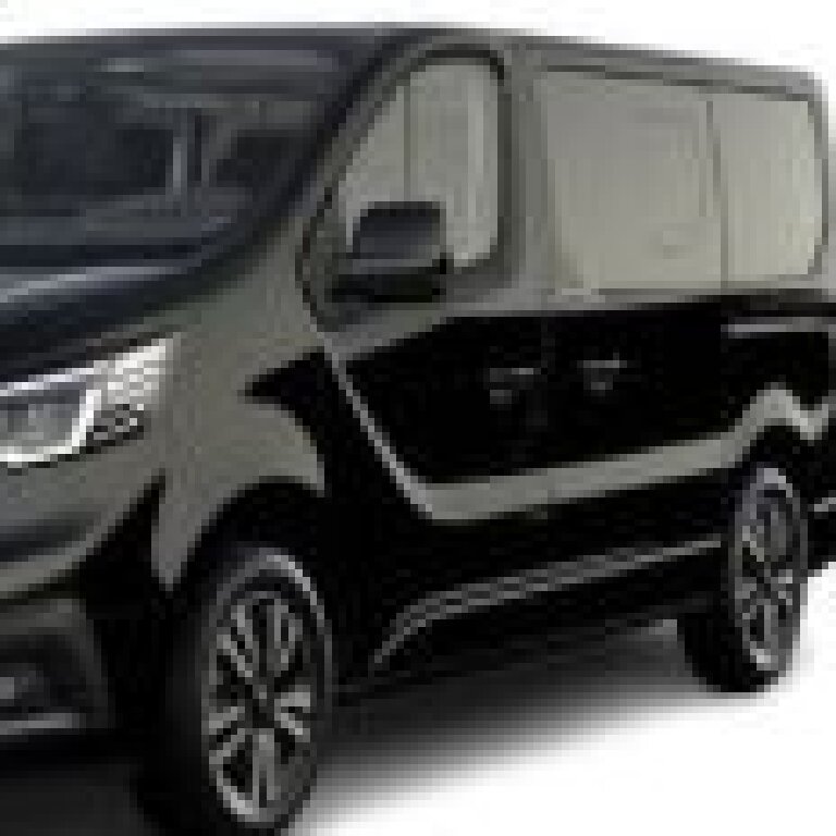 Mietwagen mit Fahrer Échirolles: Renault