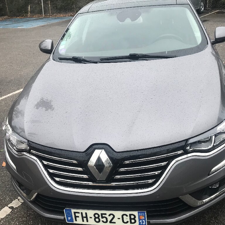 Mietwagen mit Fahrer Nîmes: Renault