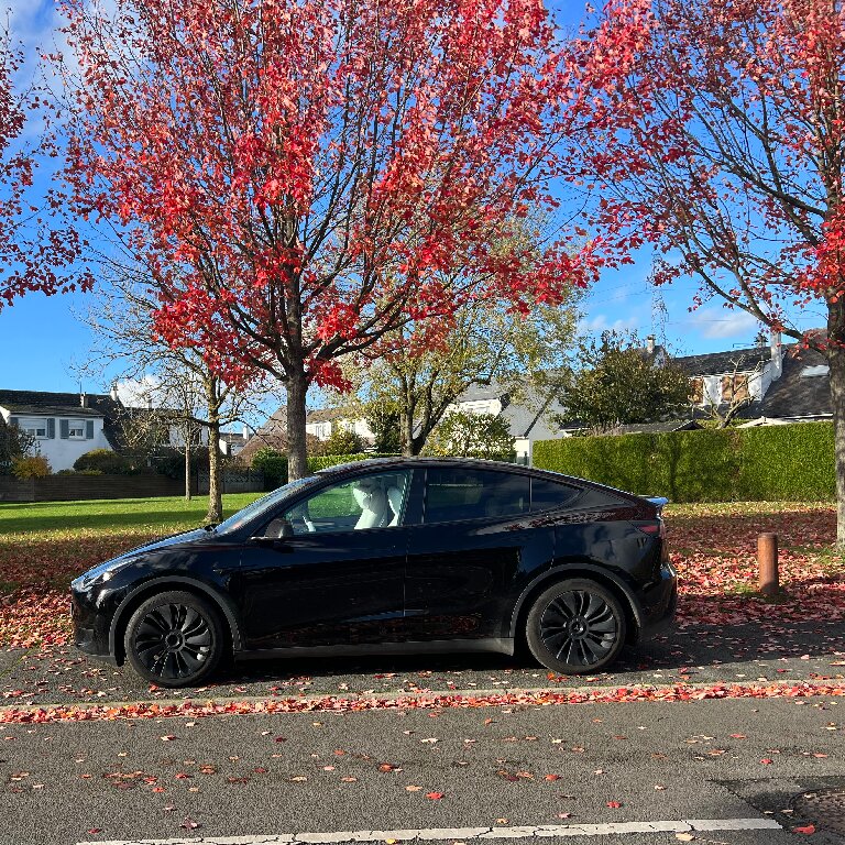 VTC Wattignies: Tesla