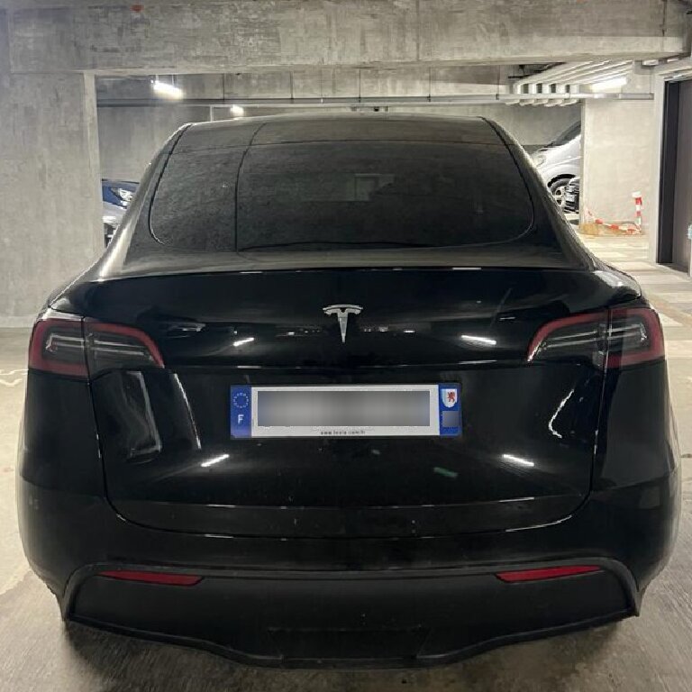 Personenvervoer Bordeaux: Tesla