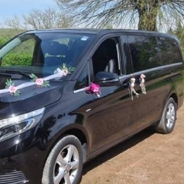 VTC Tarnos: Mercedes