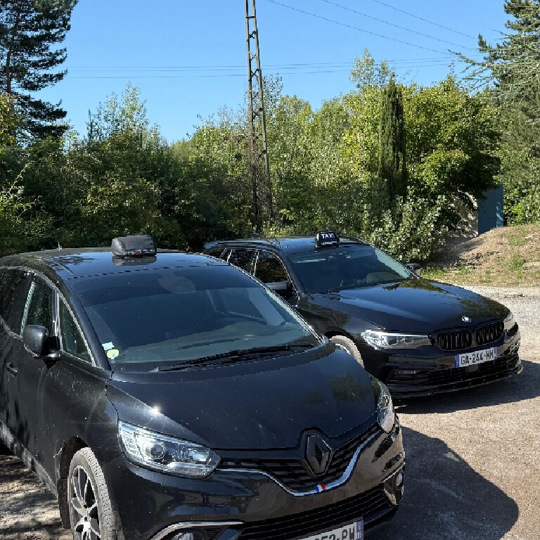VTC La Roche-des-Arnauds: Renault