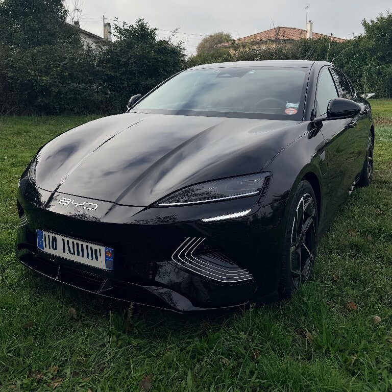 Mietwagen mit Fahrer Labastide-Saint-Pierre: BYD