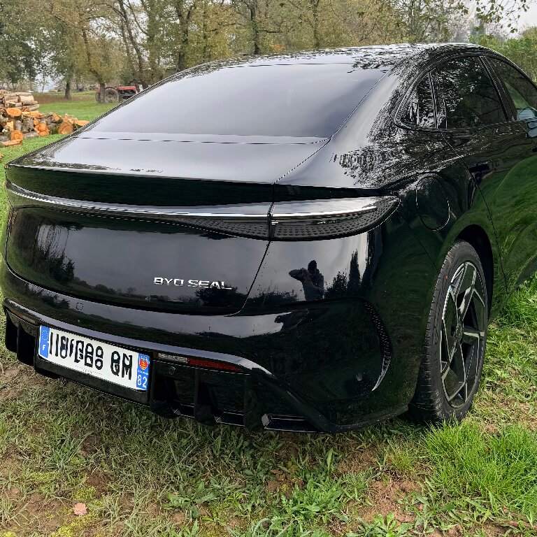 Mietwagen mit Fahrer Labastide-Saint-Pierre: BYD